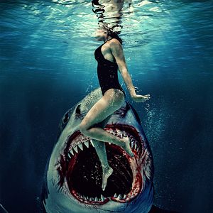 Bilder Something In The Water