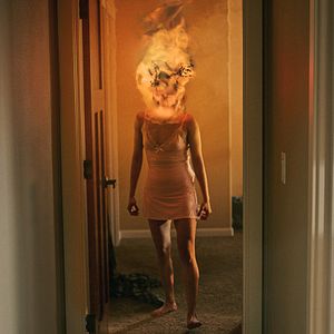 Bilder Alma und der Wolf