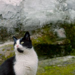 Bilder Stille Beobachter