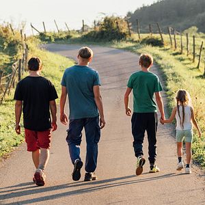 Bilder Könige des Sommers