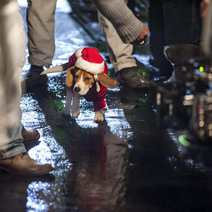 Bilder Folge deinem Polarlicht - Eine Weihnachtsgeschichte