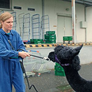 Bilder Fritzi Haberlandt