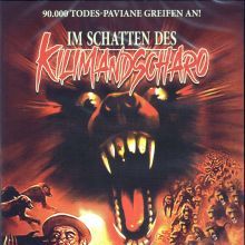 Bilder Im Schatten des Kilimandscharo
