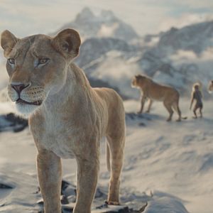 Bilder Mufasa: Der König der Löwen