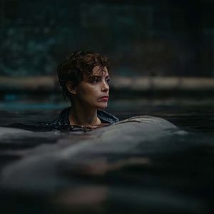 Bilder Im Wasser der Seine