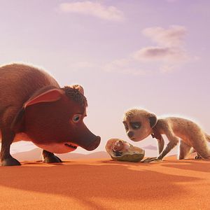 Bilder Tafiti - Ab durch die Wüste