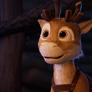 Bilder Niko - Reise zu den Polarlichtern