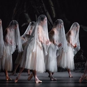 Bilder Royal Ballet & Opera: Giselle