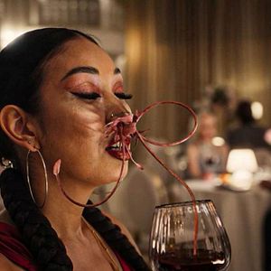 Bilder Project Darwin