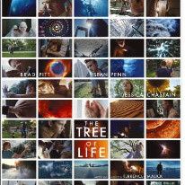 Bilder The Tree of Life