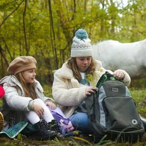 Bilder Das Geheimnis des Einhorns