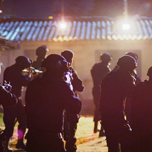 Bilder Dominique - Rise Of The Phoenix