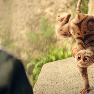 Bilder Die Schule der magischen Tiere 4