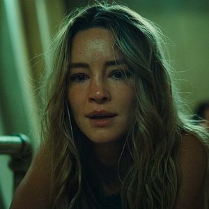 Bilder Dangerous Animals