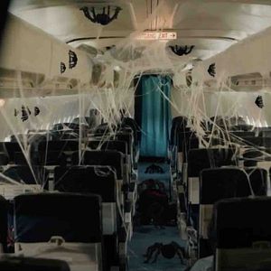 Bilder Spiders On A Plane