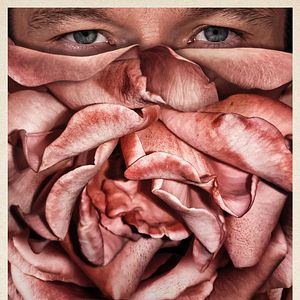 Bilder Rosebush Pruning