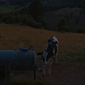 Bilder Ehrenamt - Eine Kulturreise im ländlichen Raum