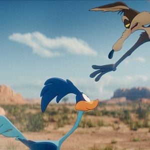 Bilder Coyote vs Acme