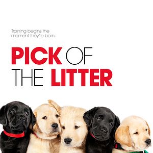Bilder Pick of the Litter
