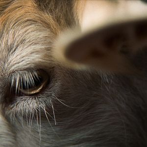 Bilder Stille Beobachter