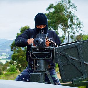 Bilder Dominique - Rise Of The Phoenix