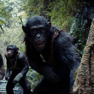 Bilder Planet der Affen 4: New Kingdom