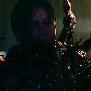 Bilder Creepy Crawly