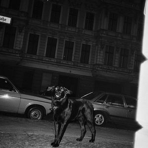 Bilder Noch bin ich nicht, wer ich sein möchte