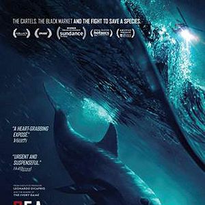 Bilder Sea of Shadows - Der Kampf um das Kokain des Meeres