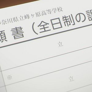 Bilder Rascal Does Not Dream