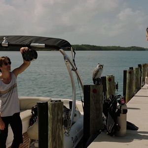 Bilder Love On The Reef - Verliebt unter Palmen