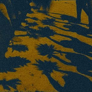 Bilder The Memory Of Butterflies