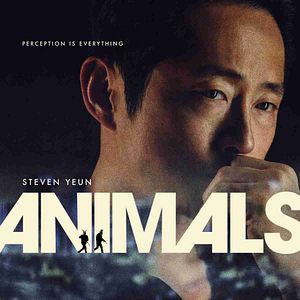 Bilder Animals