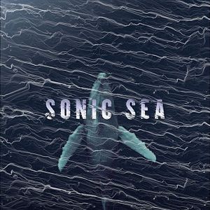 Bilder Sonic Sea