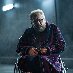 Bilder Shell - Schönheit hat ihren Preis