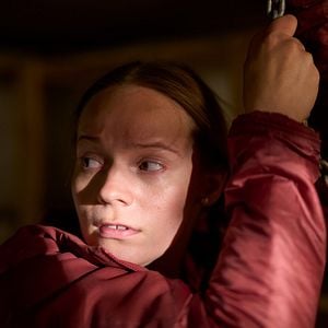 Bilder Das Leuchten der Rentiere