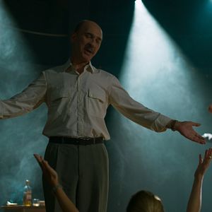 Bilder A Wolf Among The Swans