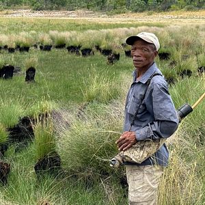 Bilder Ghost Elephants - Die Geister im Hochland Angolas