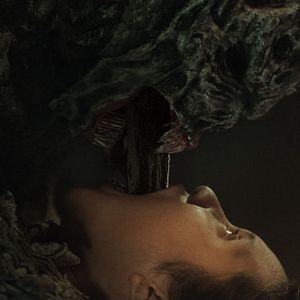 Bilder Blood Flower - Die Austreibung