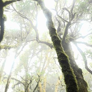 Bilder While The Green Grass Grows (Parts 1+6)