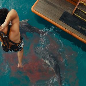 Bilder Dangerous Animals