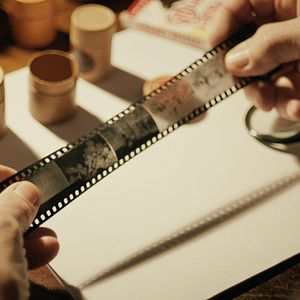 Bilder Bestiari, erbari, lapidari