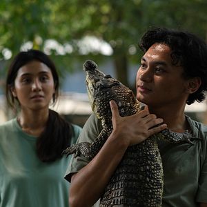 Bilder Crocodile Tears