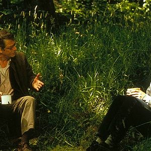 Bilder All The Little Animals