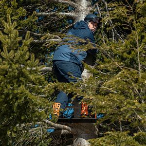 Bilder Familie, aber nur fast