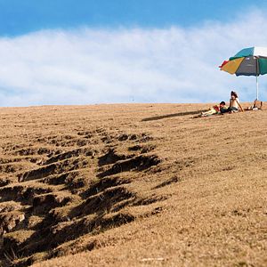 Bilder Der Botaniker