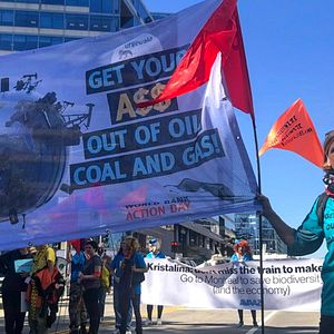 Bilder Urgewald - Auf den Spuren des Geldes