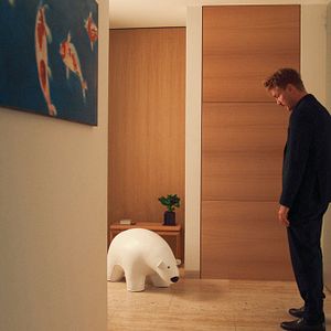 Bilder Pfau – Bin ich echt?