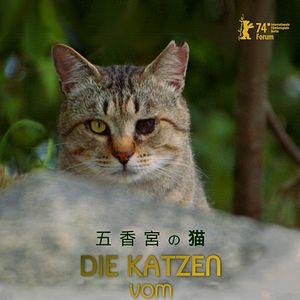 Bilder Die Katzen vom Gokogu-Schrein