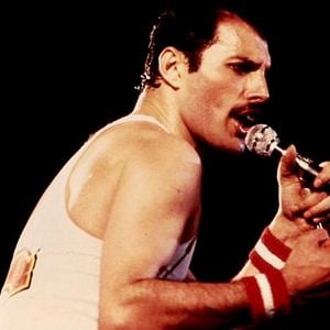 Bilder Freddie Mercury